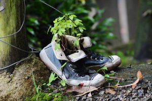 shoes, old, nature